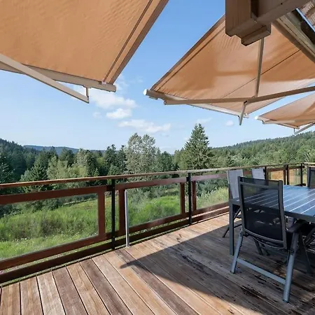 D'exception Avec Sauna, Jacuzzi, Ping-pong Chalet Liezey